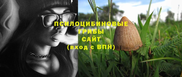 ECSTASY Алексеевка