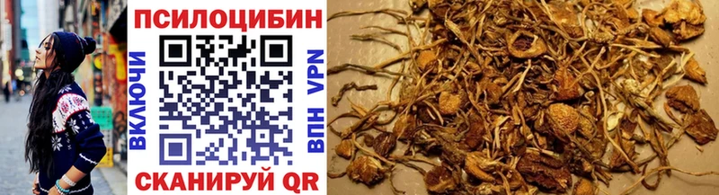 Псилоцибиновые грибы GOLDEN TEACHER  kraken онион  Кыштым 