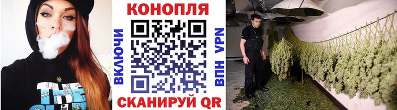 Канабис план  где найти   Кыштым 